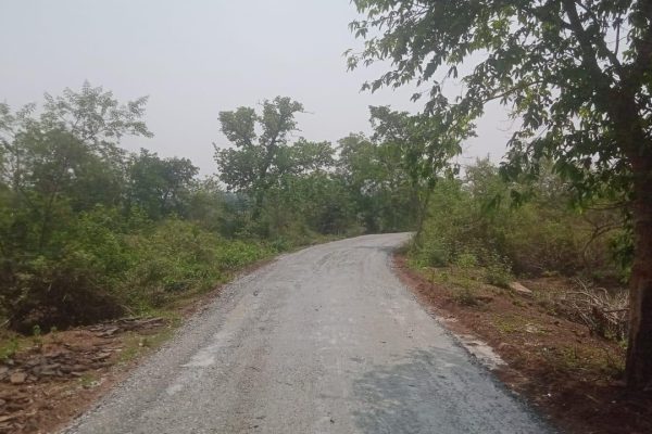 WhatsApp Image 2025-07-12 at 6.06.16 PM